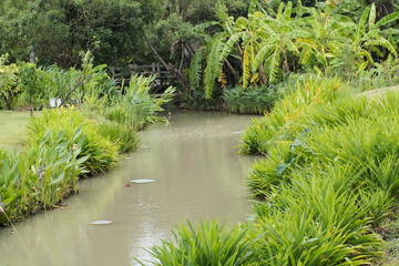 Nature's pathway: weathered timber planks form inviting garden stairs.