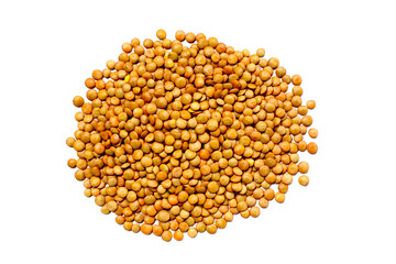 Lentils are small brown legumes rich in protein and fiber