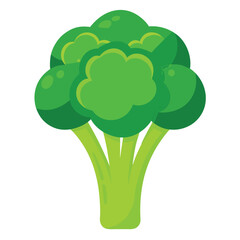 Single raw broccoli floret, vibrant green and fresh, isolated on a white background.