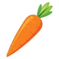 Bright raw carrot, crisp and vibrant orange, positioned on a plain white background.