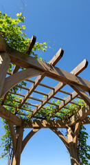 Fototapeta premium Rustic wooden pergola or archway covered in green vines, garden structure