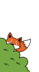Obraz premium A cartoon fox peeks from behind a green bush with a visible tail