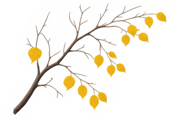 Solitary golden leaf hanging from bare branch, representing seasonal transition during late autumn period