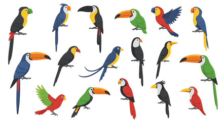 Set of 15 Flat Tropical Bird Icons Isolated on White Background
