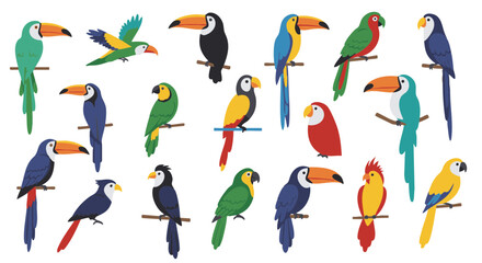 Set of 15 Flat Tropical Bird Icons Isolated on White Background
