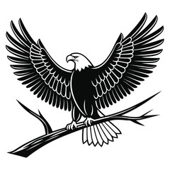 Obraz premium Black and white eagle perched on branch with outstretched wings