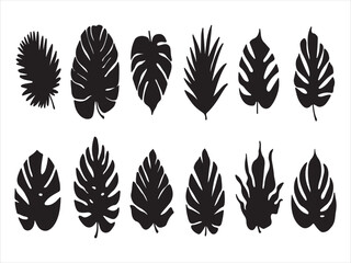 Collection of diverse tropical palm leaf silhouettes on a white background