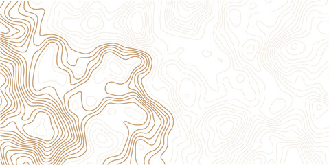 Vector seamless background, subtle pattern. topographic map background concept