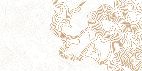 Contour topographic map. Geographic grid map background. Golden lines on white background. Vector illustration.