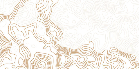 Fototapeta premium Contour topographic map. Geographic grid map background. Golden lines on white background. Vector illustration.