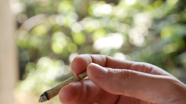 Close-up shot of a lit bidi or beedi in a woman hand. Thin cigarette filled with tobacco flake and commonly wrapped in a tendu Diospyros melanoxylon or Piliostigma racemosum leaf tied with a string or