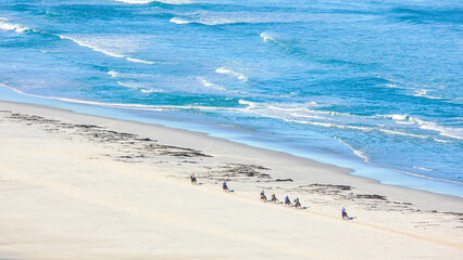 Distant Horseback Riders Along the Remote Beach of Cape Town, South Africa