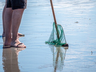 On a sunny summer beach, people share stories. Kids dig with shovels to build sandcastles, while...