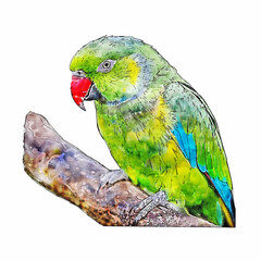 Watercolor Style Detailed Illustration of a Green Parrot on a Branch