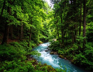 Obraz premium Lush, verdant forest and a turquoise river