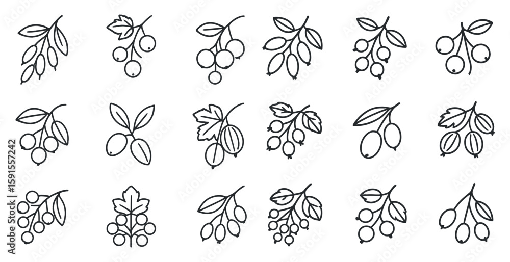 Poster set of 12 different types of leaves. the leaves are all different shapes and sizes. some are small a