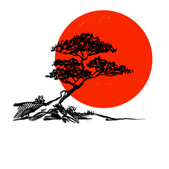 Bonsai tree, red sun, Hand-drawn pencil drawing, illustration, transparent background, PNG, no ai