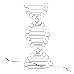 Continuous one line drawing of DNA. Single line drawing illustration of rhino DNA. National science day concept line art. Editable outline