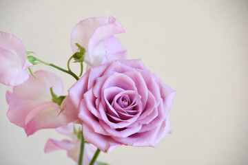 薔薇とスイートピー