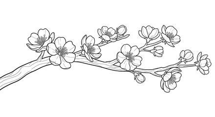 Obraz premium Delicate Blossoming Tree Branch Spring Relaxing Adult Coloring Page Design