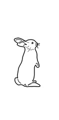 illustration of a rabbit