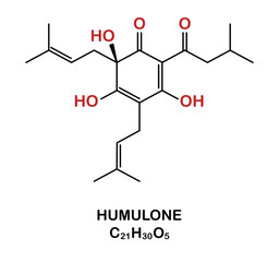 Chemical structure of humulone compound.