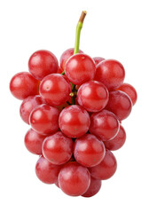 Fototapeta premium A single, perfectly ripe bunch of deep crimson to ruby red grapes, plump and unblemished with green stem and tendrils, on a pristine transparent seamless studio background with shadowless lighting,
