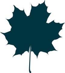Hand-drawn maple leaf silhouette isolated on white background. Flat style vector illustration.