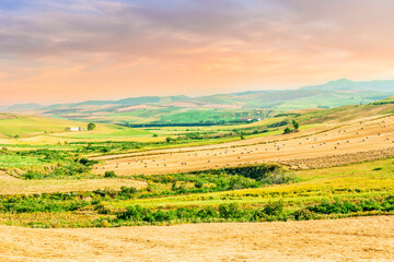 Scenic view at beautiful summer sunset in a wheaten shiny field with golden wheat and sun rays,...