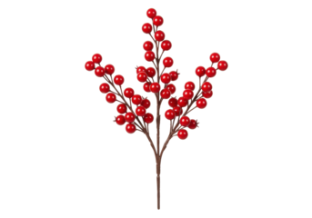A single artificial branch of vibrant, glossy red berries on brown stems, perfectly mimicking holly, isolated against a transparent background with copy space, shadowless studio lighting, concept for