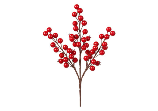 A single artificial branch of vibrant, glossy red berries on brown stems, perfectly mimicking holly, isolated against a transparent background with copy space, shadowless studio lighting, concept for