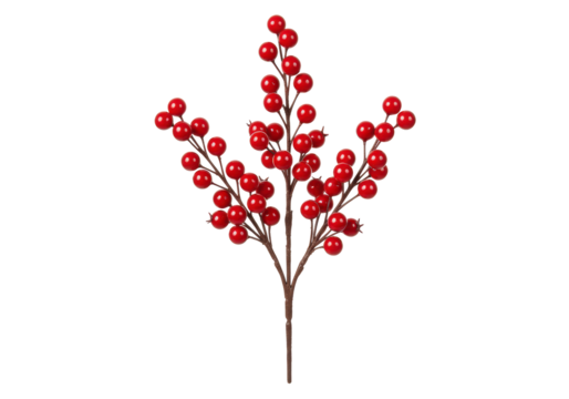 A single artificial branch of vibrant, glossy red berries on brown stems, perfectly mimicking holly, isolated against a transparent background with copy space, shadowless studio lighting, concept for