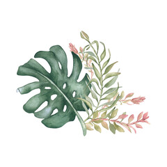 Monstera leaf with palm fronds watercolor drawing in muted sage greens isolated. Tropical foliage and pink branches hand painted. Botanical clipart for spa branding, organic product packaging.