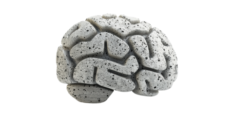 Concrete Brain Sculpture. Symbolizes Strength And Resilience In Mental Health Isolated On Transparent Background