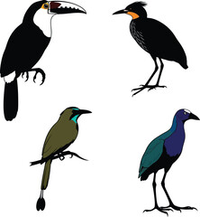 Fototapeta premium Vector art of colorful bird silhouettes isolated on white background