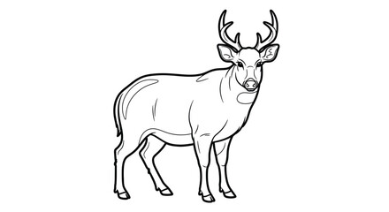 Obraz premium Serene Hog Deer with Antlers Detailed Adult Coloring Page Wildlife Observation Forest