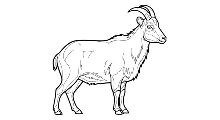 Fototapeta premium Nilgiri Tahr Side Standing Detailed Coloring Page for Adults Wildlife Animal Art