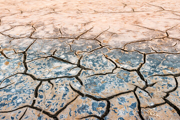 Dry cracked soil texture with small dry plant, representing drought and lack of water