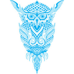 owl on white background