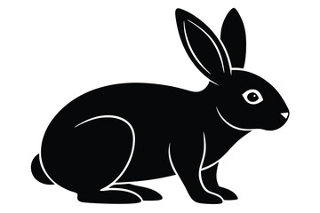 rabbit vector icon