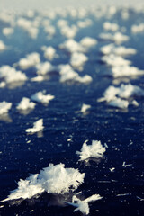 Glaciology. Young freshwater ice with characteristic tabular crystals of perspiration on the...