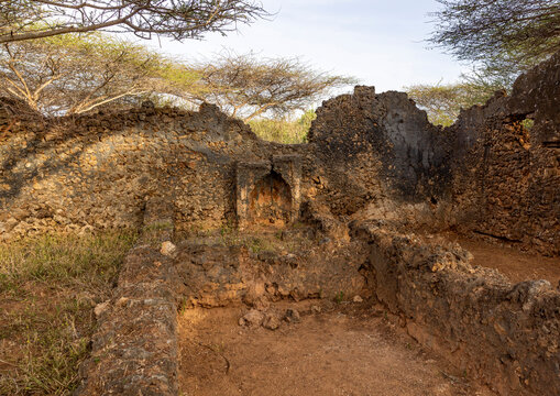 Takwa ruins in the middle of acacias, Lamu, Manda island, Kenya