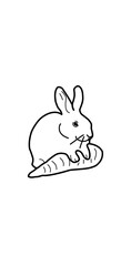 white rabbit on a carrot white background