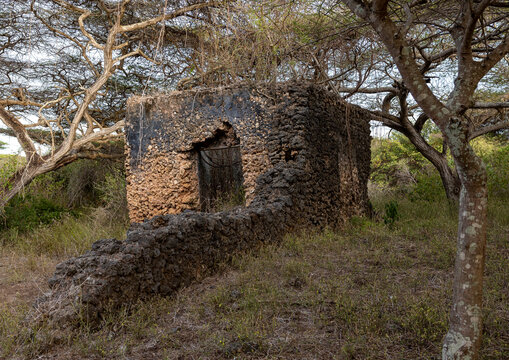 Takwa ruins in the middle of acacias, Lamu, Manda island, Kenya