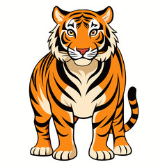 tiger vector illustration