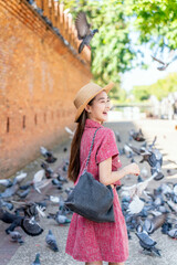 Young Asian woman exploring Tha Phae Gate, a heritage landmark in Chiang Mai, Thailand. Female...