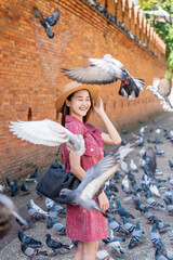 Young Asian woman exploring Tha Phae Gate, a heritage landmark in Chiang Mai, Thailand. Female...