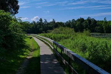 Wooden boardwalk through green forest with railing under blue sky