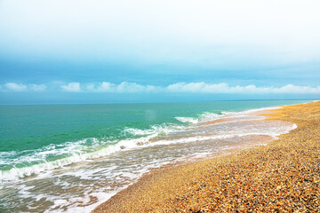 Coastal accumulation. Azov Sea sand-shell alluvium. Changing beach approximately 600-800 years old. Water salinity, composition of mollusks have changed, and now cardium prevails. Arabatskaya Strelka