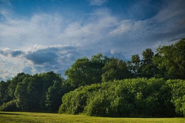 Scenic summer landscape featuring a lush green forest edge and freshly mowed grass under a dramatic sky with scattered clouds. Peaceful rural view representing nature, tranquility